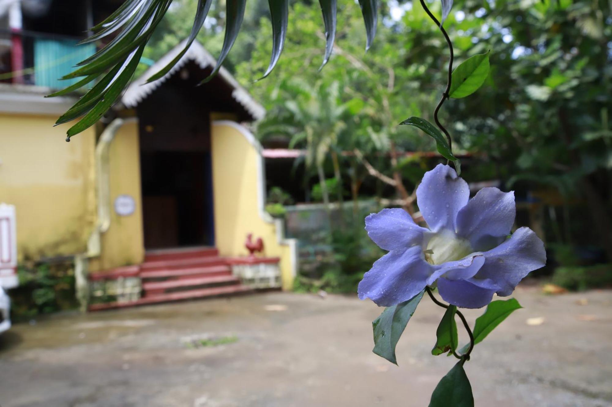 Phoenix Castle House Palolem Canacona Exterior photo